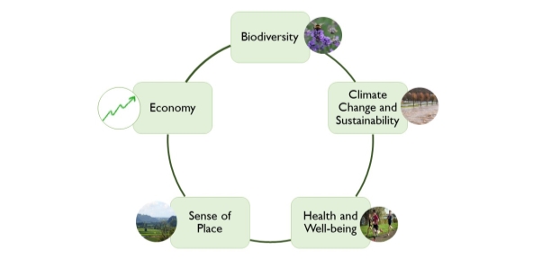 A diagram illustrating the components of green and blue infrastructure as being: Biodiversity; Climate Change and Sustainability; Health and Well-being; Sense of Place; Economy.